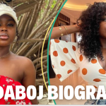 SaidaBoj Biography