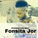 Professional Beat - Fonsita jor MP3 Download
