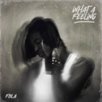 FOLA what a feeling (EP)