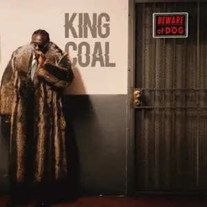 Wande Coal - KING COAL