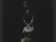 Rybeena – Patek